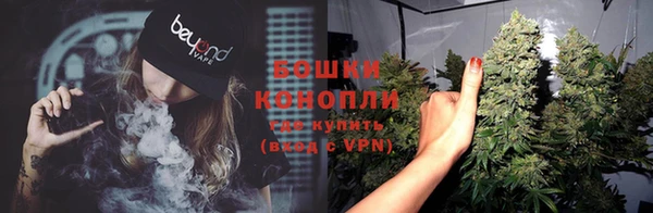 шишки Белоозёрский