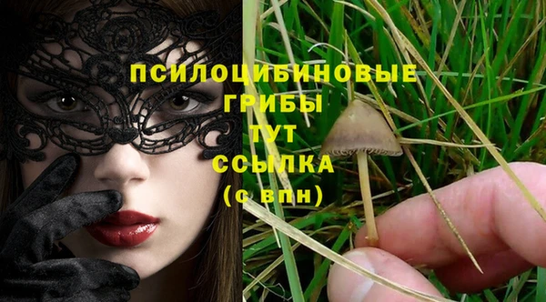 гашик Беломорск