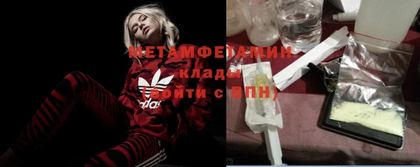 шишки Белоозёрский