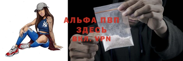 шишки Белоозёрский