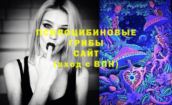 кокаин Белокуриха