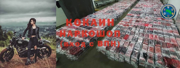 шишки Белоозёрский