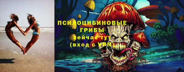 гашик Беломорск