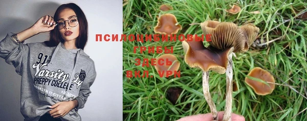 шишки Белоозёрский