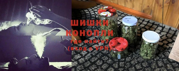 шишки Белоозёрский
