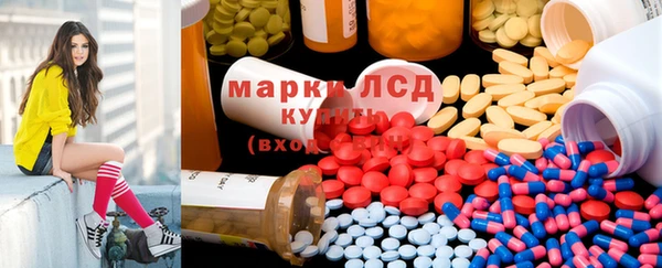 шишки Белоозёрский