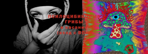 гашик Беломорск